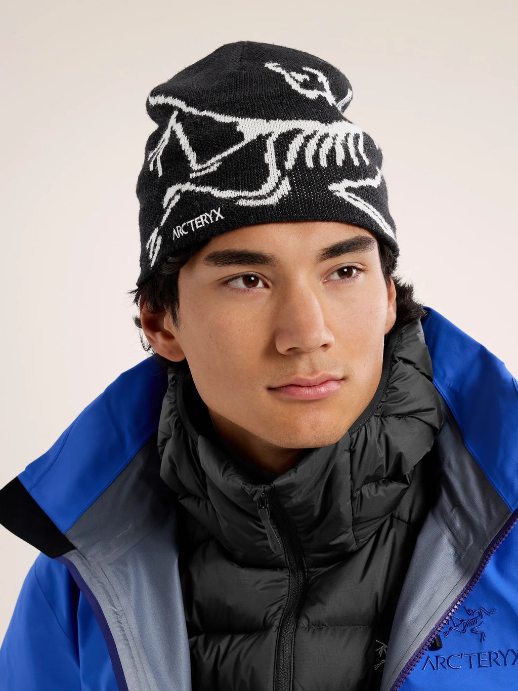 Arcteryx Beanie Bird Head Toque - Orca – APEX OUTDOOR Arcteryx Beanie Bird Head Toque - Orca – APEX OUTDOOR